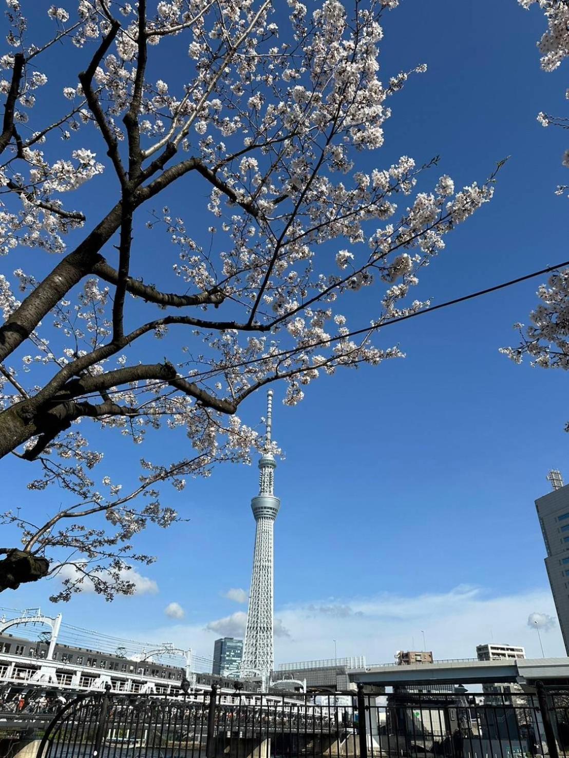 東京雷門ー千の森asakusa Tokyo Esterno foto