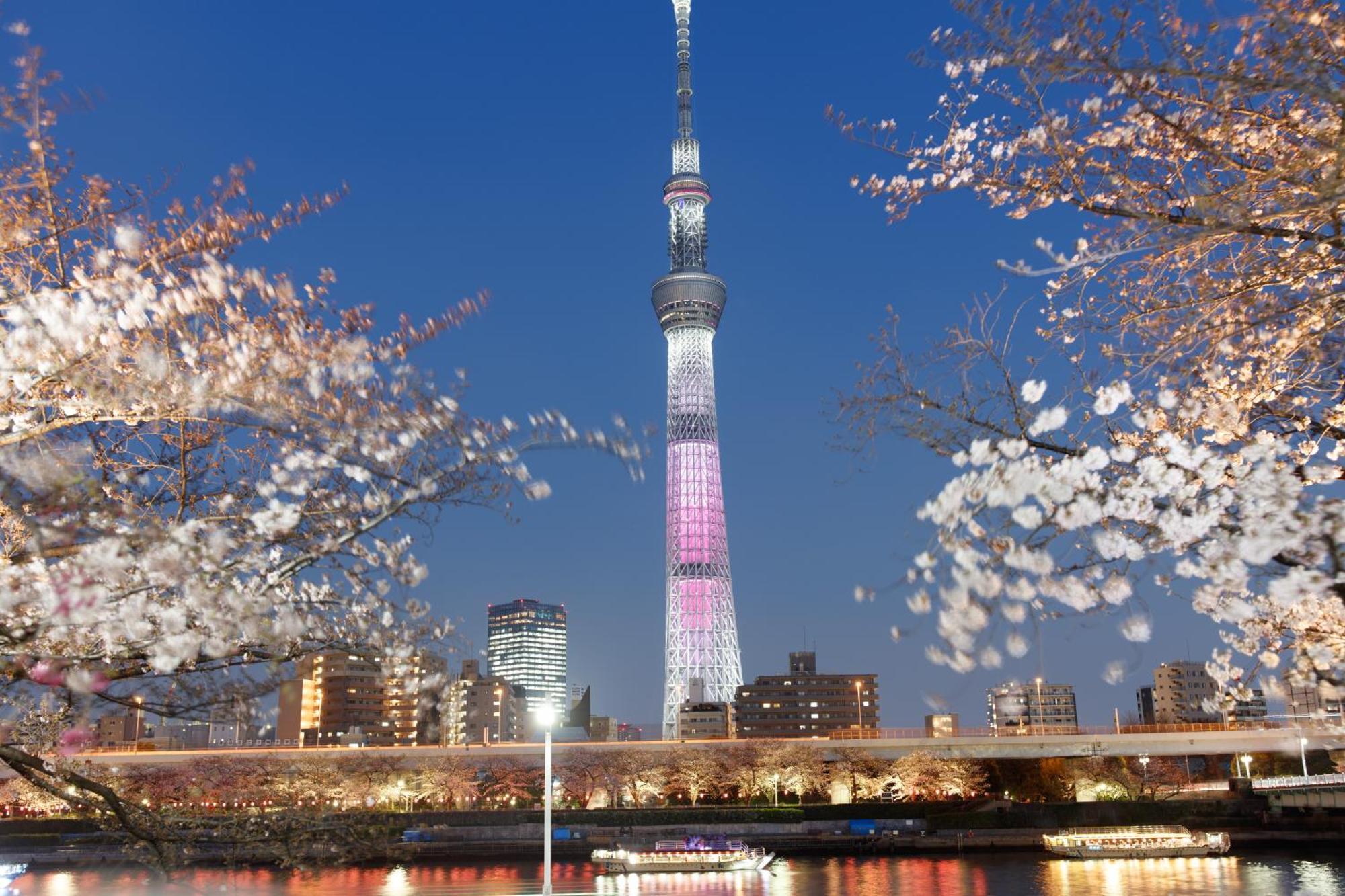 東京雷門ー千の森asakusa Tokyo Esterno foto